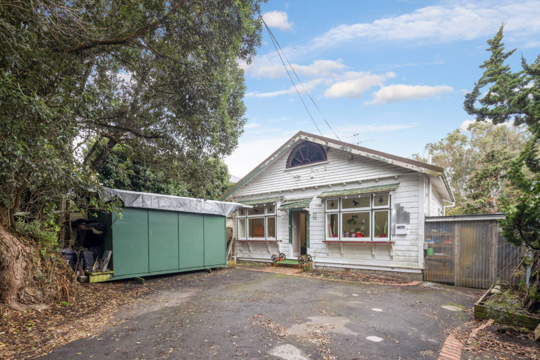 52-Balfour-Street-Mornington-Wellington