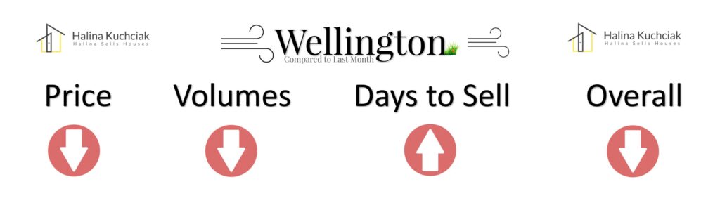 JULY Wellington Market Trends Graph JULY 2025