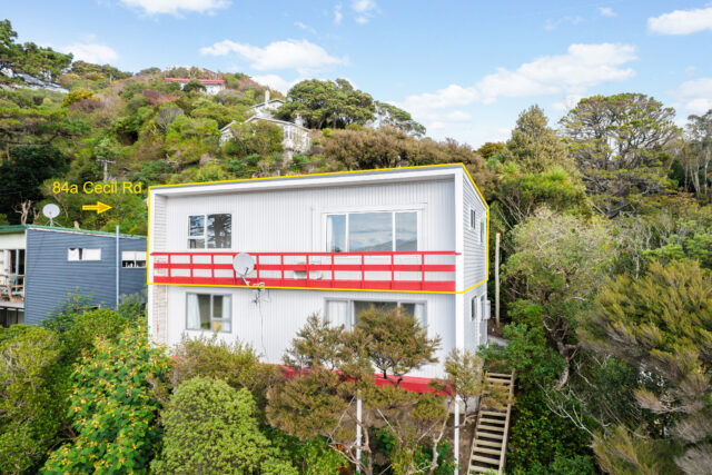 Affordable, Sunny, and Packed with Potential