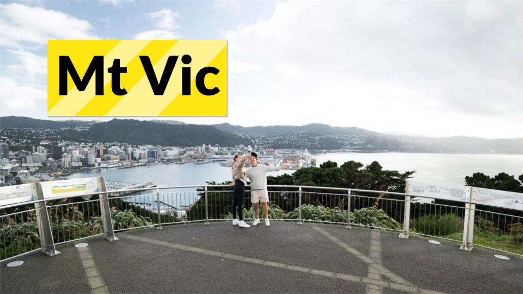 Wellington Mt Victoria