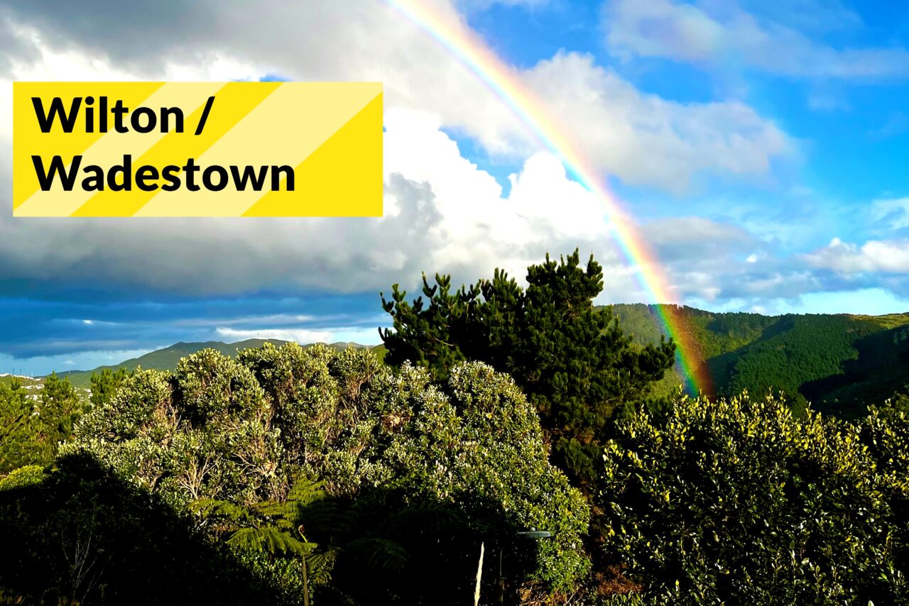 Wilton Wadestown Top Real Estate