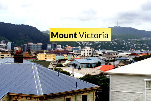 Mt Victoria Wellington Real Estate