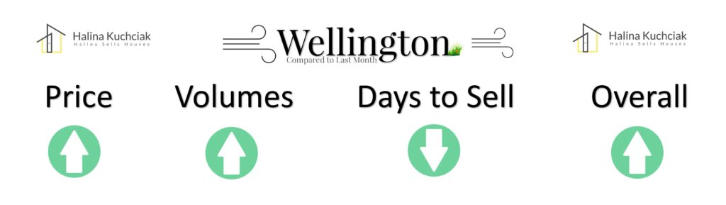Oct-Wellington Market Trends Graph 2025